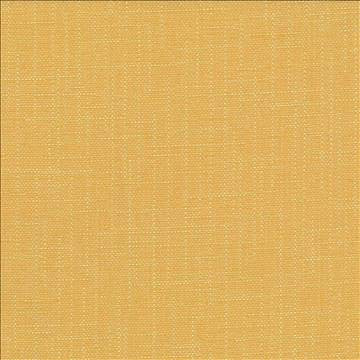 San Carlos Golden by Kasmir Fabric 5050 100% Polyester INDIA 25,000 Wyzenbeek Double Rubs H: N/A, V: N/A 54 - 55 - Fabric Carolina - Kasmir