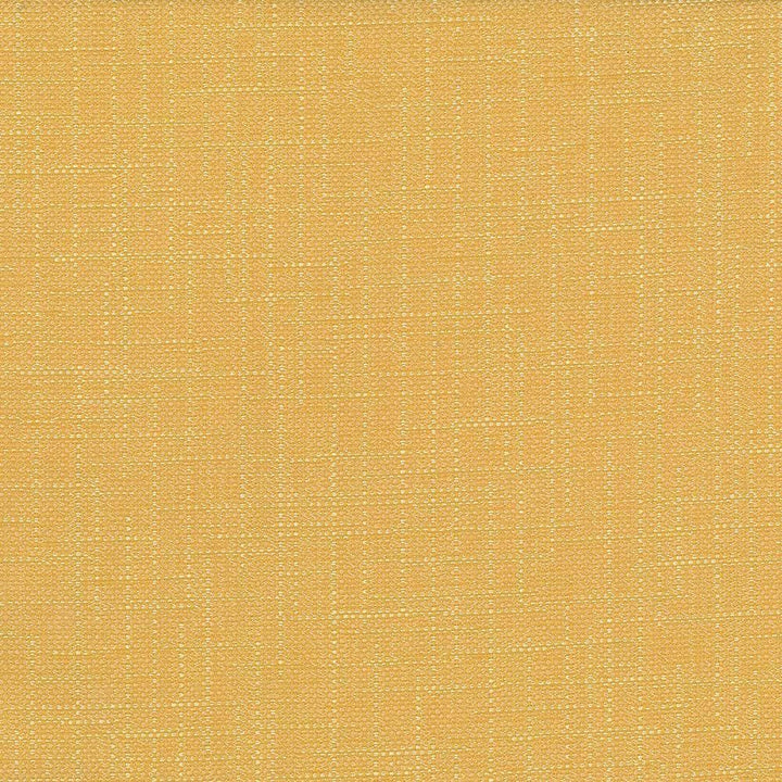 San Carlos Golden  by Kasmir Fabric See sample 100% Polyester
 INDIA 25,000 Wyzenbeek Double Rubs </p><p>Repeat: Horizontal: N/A and Vertical: N/A 54  - Fabric Carolina -