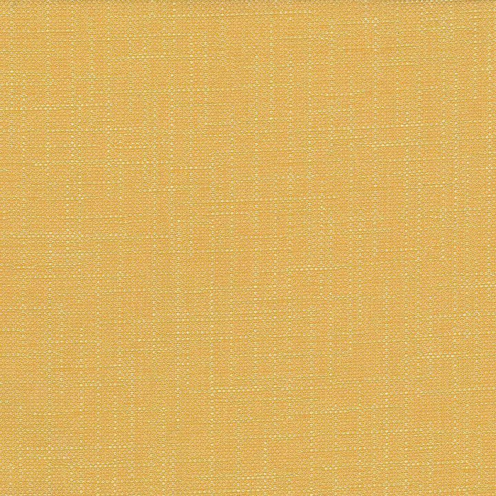 San Carlos Golden by Kasmir Fabric 5050 INDIA 25,000 Wyzenbeek Double Rubs H: N/A, V:N/A 54 - 55 - Fabric Carolina - Kasmir