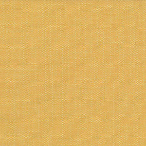 San Carlos Golden by Kasmir Fabric