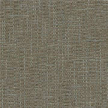 San Carlos Graphite by Kasmir Fabric 5050 100% Polyester INDIA 25,000 Wyzenbeek Double Rubs H: N/A, V: N/A 54 - 55 - Fabric Carolina - Kasmir