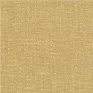 San Carlos Hemp by Kasmir Fabric 5050 100% Polyester INDIA 25,000 Wyzenbeek Double Rubs H: N/A, V: N/A 54 - 55 - Fabric Carolina - Kasmir