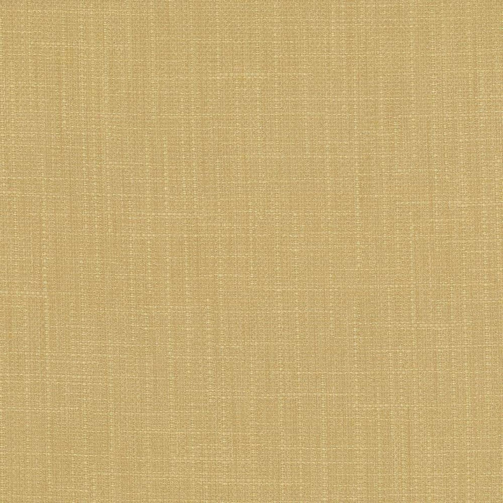 San Carlos Hemp by Kasmir Fabric 5050 INDIA 25,000 Wyzenbeek Double Rubs H: N/A, V:N/A 54 - 55 - Fabric Carolina - Kasmir