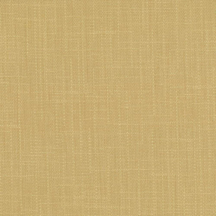 San Carlos Hemp by Kasmir Fabric 5050 100% Polyester
 INDIA </p><p>Repeat: Horizontal: N/A and Vertical: N/A 54 - 55 - Fabric Carolina -