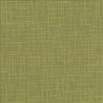 San Carlos Herb by Kasmir Fabric 5050 100% Polyester INDIA 25,000 Wyzenbeek Double Rubs H: N/A, V: N/A 54 - 55 - Fabric Carolina - Kasmir