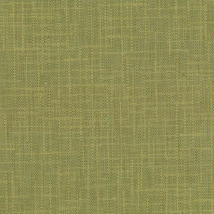 San Carlos Herb by Kasmir Fabric 5050 100% Polyester
 INDIA </p><p>Repeat: Horizontal: N/A and Vertical: N/A 54 - 55 - Fabric Carolina -
