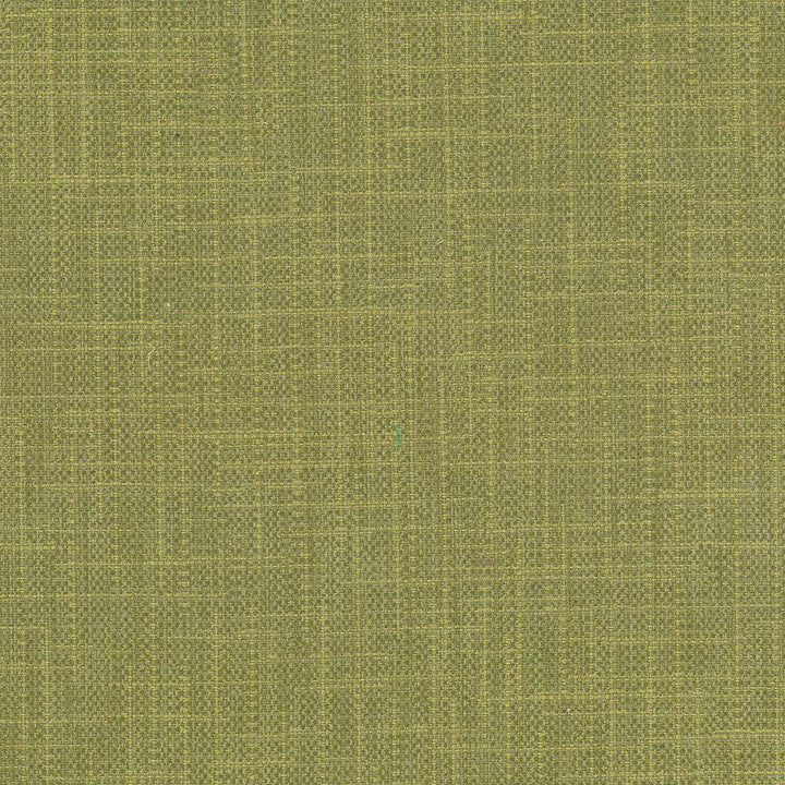 San Carlos Herb by Kasmir Fabric 5050 INDIA 25,000 Wyzenbeek Double Rubs H: N/A, V:N/A 54 - 55 - Fabric Carolina - Kasmir