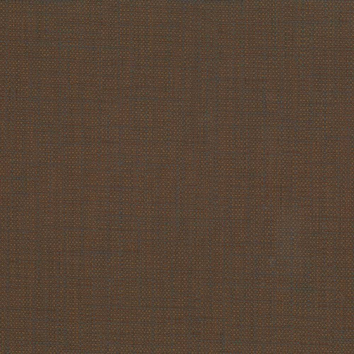 San Carlos Java by Kasmir Fabric 5050 INDIA 25,000 Wyzenbeek Double Rubs H: N/A, V:N/A 54 - 55 - Fabric Carolina - Kasmir
