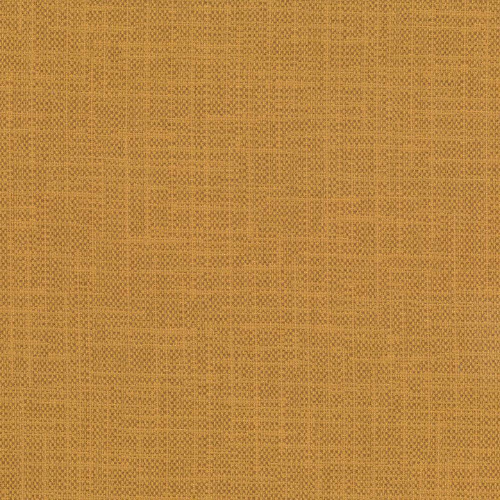 San Carlos Maize by Kasmir Fabric 5050 INDIA 25,000 Wyzenbeek Double Rubs H: N/A, V:N/A 54 - 55 - Fabric Carolina - Kasmir