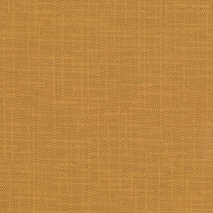 San Carlos Maize by Kasmir Fabric 5050 100% Polyester INDIA 25,000 Wyzenbeek Double Rubs Horizontal: 0 Inches and Vertical: 0 Inches 54 - 55 - Fabric Carolina -