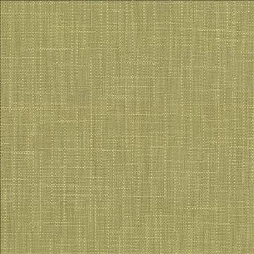 San Carlos Moss by Kasmir Fabric 5050 100% Polyester INDIA 25,000 Wyzenbeek Double Rubs H: N/A, V: N/A 54 - 55 - Fabric Carolina - Kasmir