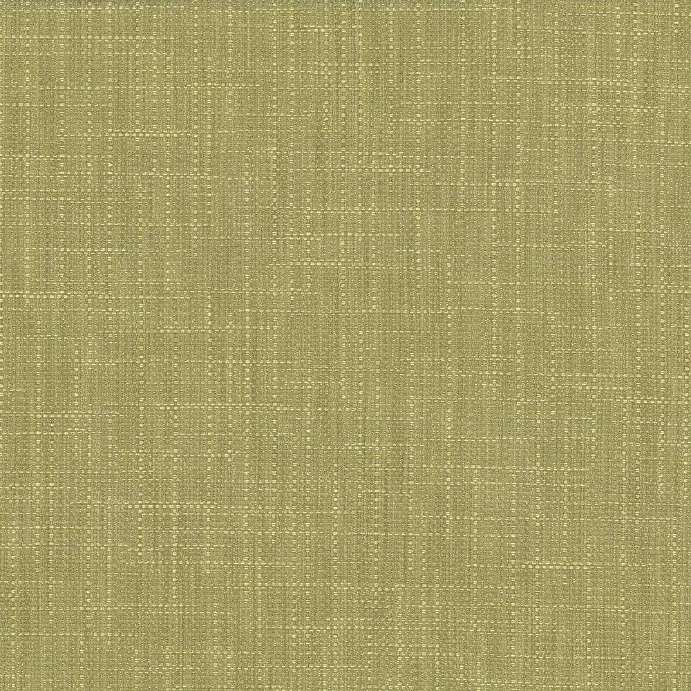 San Carlos Moss by Kasmir Fabric 5050 INDIA 25,000 Wyzenbeek Double Rubs H: N/A, V:N/A 54 - 55 - Fabric Carolina - Kasmir