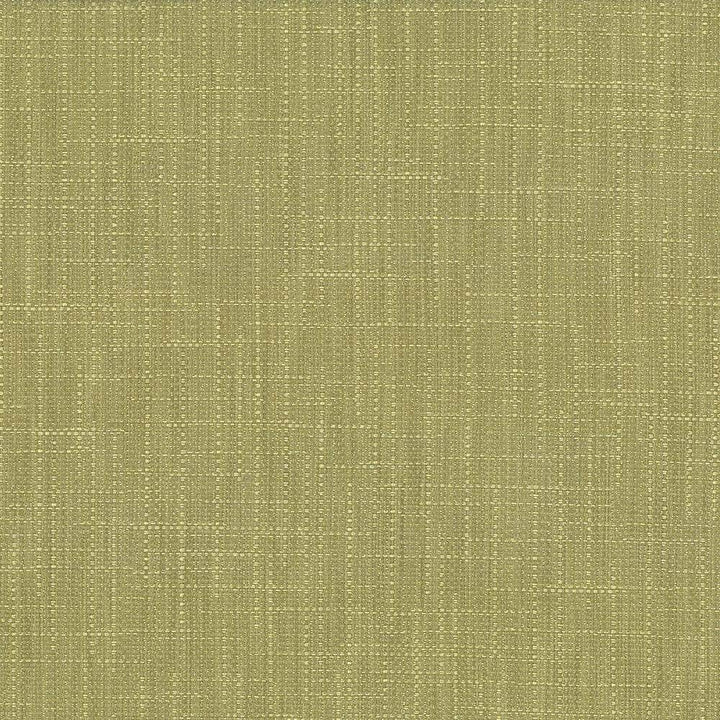 San Carlos Moss by Kasmir Fabric 5050 INDIA 25,000 Wyzenbeek Double Rubs H: N/A, V:N/A 54 - 55 - Fabric Carolina - Kasmir