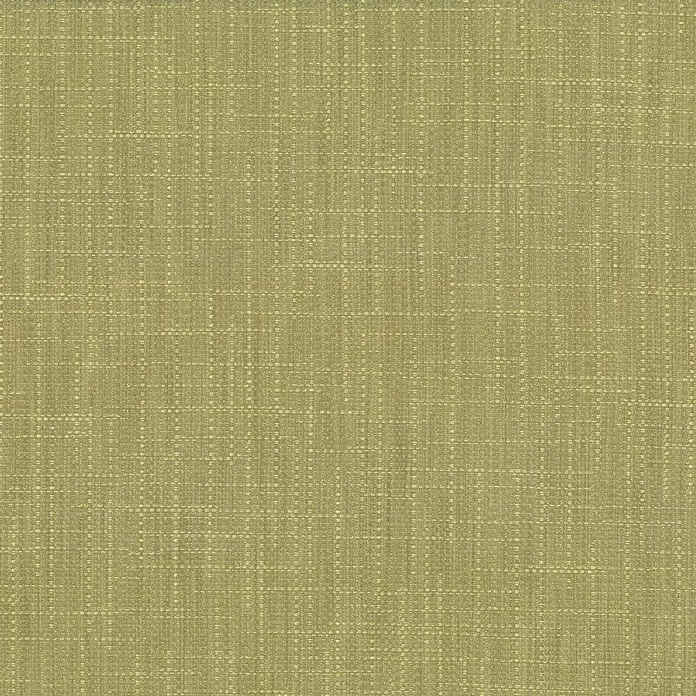 San Carlos Moss by Kasmir Fabric 5050 100% Polyester
 INDIA </p><p>Repeat: Horizontal: N/A and Vertical: N/A 54 - 55 - Fabric Carolina -