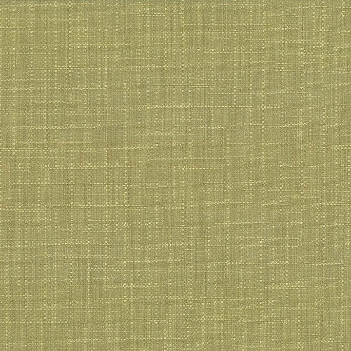 San Carlos Moss by Kasmir Fabric 5050 100% Polyester
 INDIA </p><p>Repeat: Horizontal: N/A and Vertical: N/A 54 - 55 - Fabric Carolina -