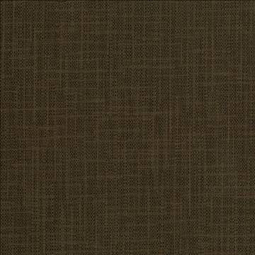 San Carlos Peppercorn by Kasmir Fabric 5050 100% Polyester INDIA 25,000 Wyzenbeek Double Rubs H: N/A, V: N/A 54 - 55 - Fabric Carolina - Kasmir