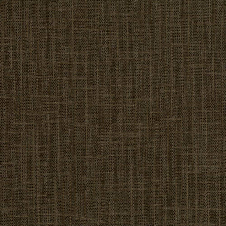 San Carlos Peppercorn by Kasmir Fabric 5050 INDIA 25,000 Wyzenbeek Double Rubs H: N/A, V:N/A 54 - 55 - Fabric Carolina - Kasmir