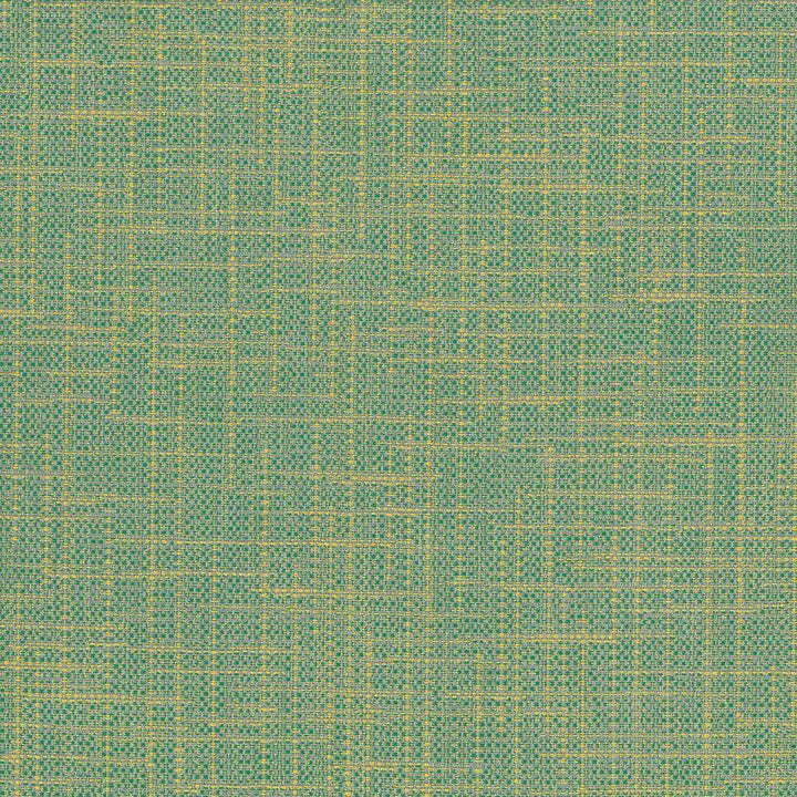 San Carlos Pool by Kasmir Fabric 5050 INDIA 25,000 Wyzenbeek Double Rubs H: N/A, V:N/A 54 - 55 - Fabric Carolina - Kasmir