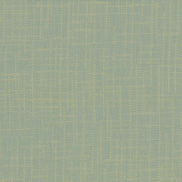San Carlos Rain by Kasmir Fabric 5050 100% Polyester
 INDIA 25,000 Wyzenbeek Double Rubs Horizontal: N/A and Vertical: N/A 54 - Fabric Carolina -