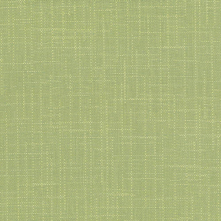 San Carlos Seaglass by Kasmir Fabric 5050 INDIA 25,000 Wyzenbeek Double Rubs H: N/A, V:N/A 54 - 55 - Fabric Carolina - Kasmir