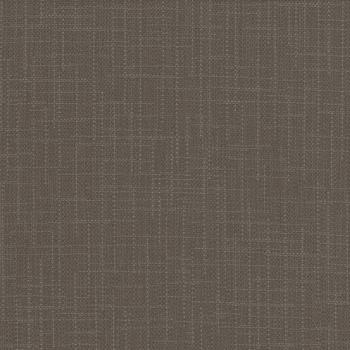 San Carlos Storm by Kasmir Fabric 5050 INDIA 25,000 Wyzenbeek Double Rubs H: N/A, V:N/A 54 - 55 - Fabric Carolina - Kasmir