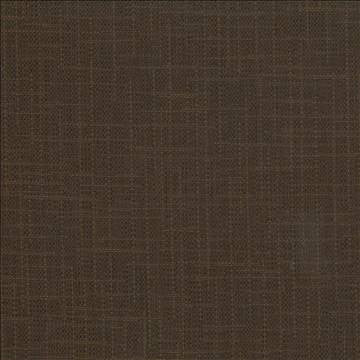 San Carlos Teak by Kasmir Fabric 5050 100% Polyester INDIA 25,000 Wyzenbeek Double Rubs H: N/A, V: N/A 54 - 55 - Fabric Carolina - Kasmir