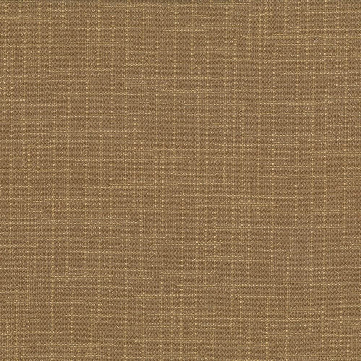 San Carlos Terrain by Kasmir Fabric 5050 100% Polyester
 INDIA 25,000 Wyzenbeek Double Rubs Horizontal: N/A and Vertical: N/A 54 - Fabric Carolina -