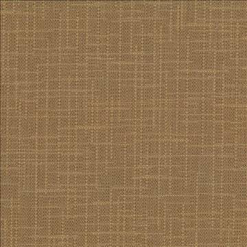 San Carlos Terrain by Kasmir Fabric 5050 100% Polyester INDIA 25,000 Wyzenbeek Double Rubs H: N/A, V: N/A 54 - 55 - Fabric Carolina - Kasmir