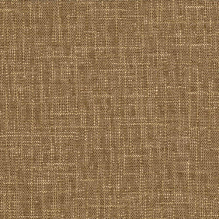 San Carlos Terrain by Kasmir Fabric 5050 INDIA 25,000 Wyzenbeek Double Rubs H: N/A, V:N/A 54 - 55 - Fabric Carolina - Kasmir