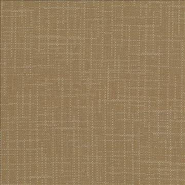 San Carlos Twine by Kasmir Fabric 5050 100% Polyester INDIA 25,000 Wyzenbeek Double Rubs H: N/A, V: N/A 54 - 55 - Fabric Carolina - Kasmir
