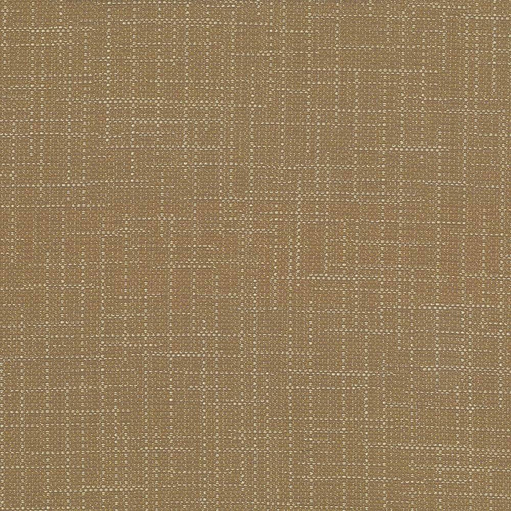 San Carlos Twine by Kasmir Fabric 5050 INDIA 25,000 Wyzenbeek Double Rubs H: N/A, V:N/A 54 - 55 - Fabric Carolina - Kasmir