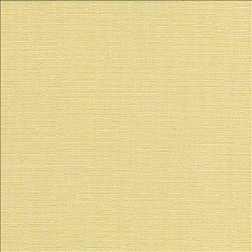 San Carlos Wheat by Kasmir Fabric 5050 100% Polyester INDIA 25,000 Wyzenbeek Double Rubs H: N/A, V: N/A 54 - 55 - Fabric Carolina - Kasmir