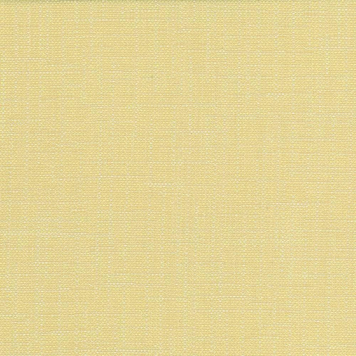 San Carlos Wheat by Kasmir Fabric 5050 100% Polyester
 INDIA 25,000 Wyzenbeek Double Rubs Horizontal: N/A and Vertical: N/A 54 - Fabric Carolina -