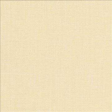 San Carlos White Chocolate by Kasmir Fabric 5050 100% Polyester INDIA 25,000 Wyzenbeek Double Rubs H: N/A, V: N/A 54 - 55 - Fabric Carolina - Kasmir