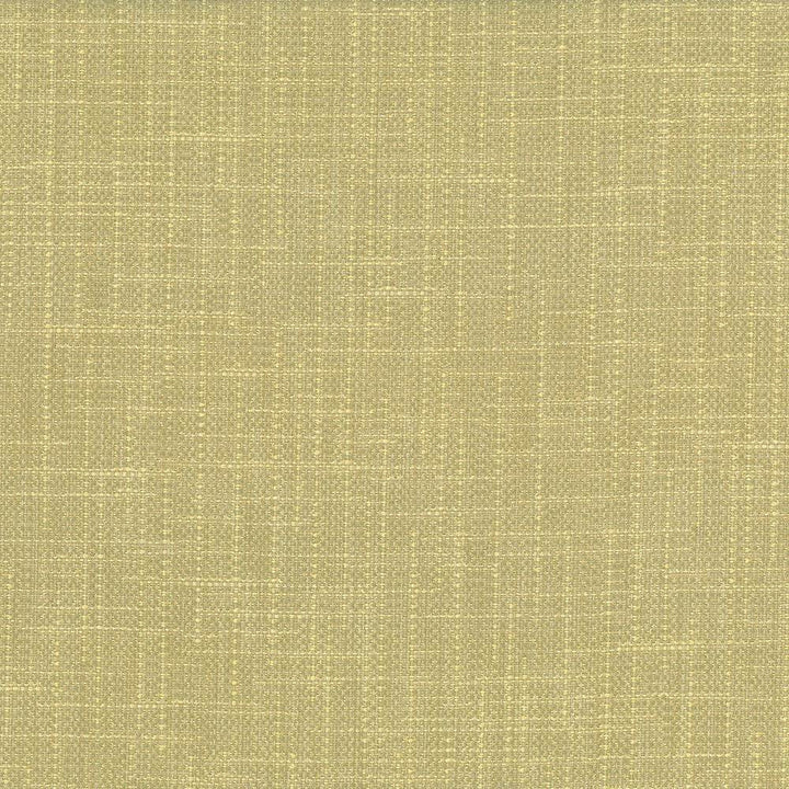 San Carlos Aloe by Kasmir Fabric 5050 100% Polyester
 INDIA </p><p>Repeat: Horizontal: N/A and Vertical: N/A 54 - 55 - Fabric Carolina -