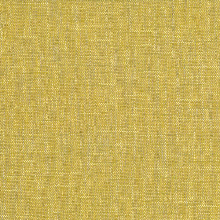 San Carlos Citrine by Kasmir Fabric 5050 100% Polyester
 INDIA </p><p>Repeat: Horizontal: N/A and Vertical: N/A 54 - 55 - Fabric Carolina -
