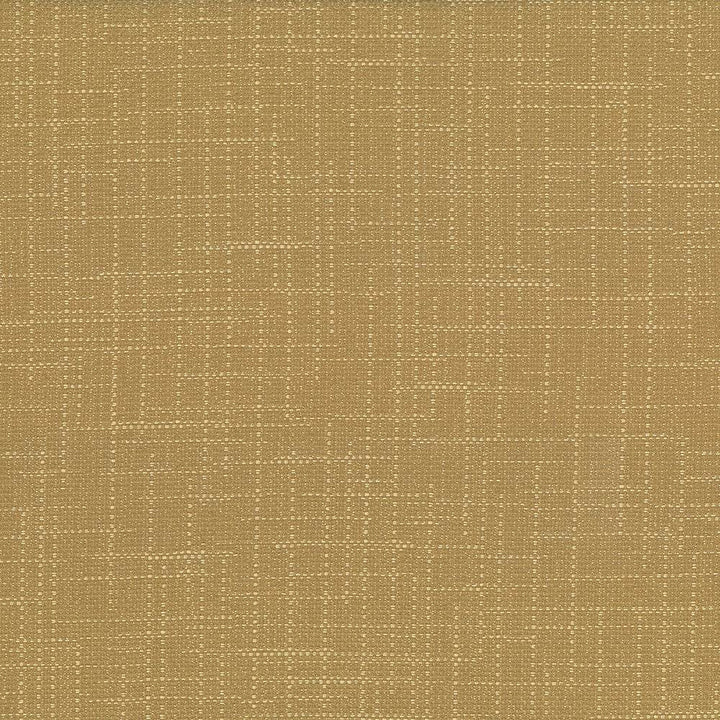 San Carlos Dune by Kasmir Fabric 5050 100% Polyester
 INDIA </p><p>Repeat: Horizontal: N/A and Vertical: N/A 54 - 55 - Fabric Carolina -