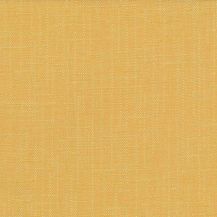 San Carlos Golden by Kasmir Fabric 5050 100% Polyester
 INDIA </p><p>Repeat: Horizontal: N/A and Vertical: N/A 54 - 55 - Fabric Carolina -