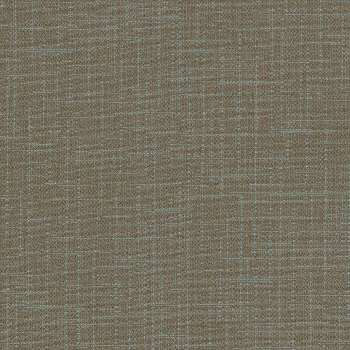 San Carlos Graphite by Kasmir Fabric 5050 100% Polyester
 INDIA </p><p>Repeat: Horizontal: N/A and Vertical: N/A 54 - 55 - Fabric Carolina -
