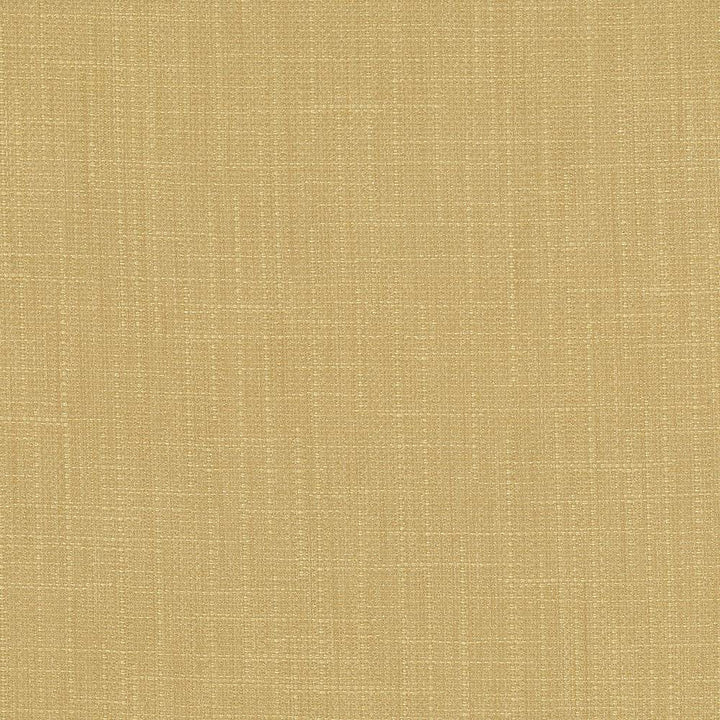 San Carlos Hemp by Kasmir Fabric 5050 100% Polyester
 INDIA </p><p>Repeat: Horizontal: N/A and Vertical: N/A 54 - 55 - Fabric Carolina -