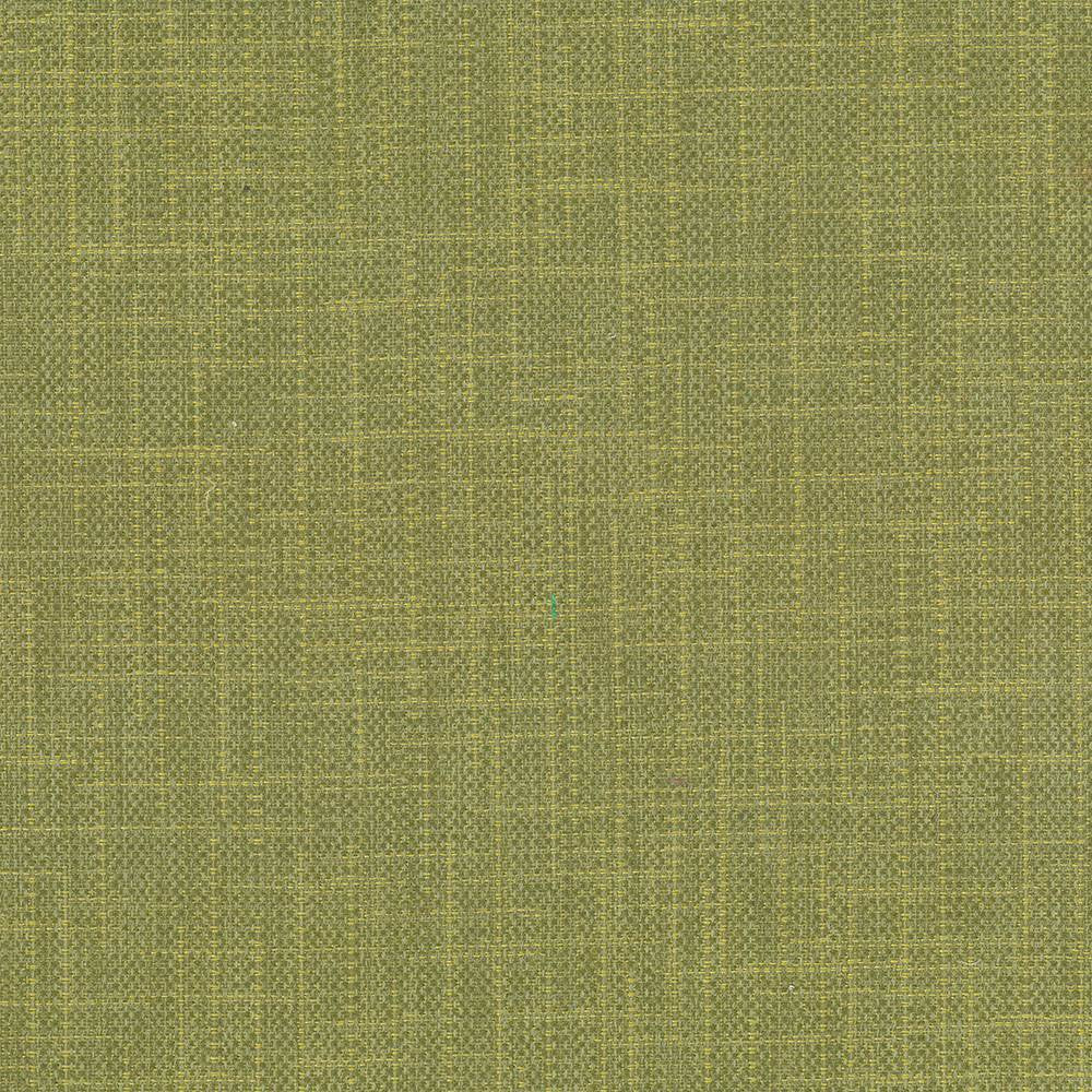 San Carlos Herb by Kasmir Fabric 5050 100% Polyester
 INDIA </p><p>Repeat: Horizontal: N/A and Vertical: N/A 54 - 55 - Fabric Carolina -