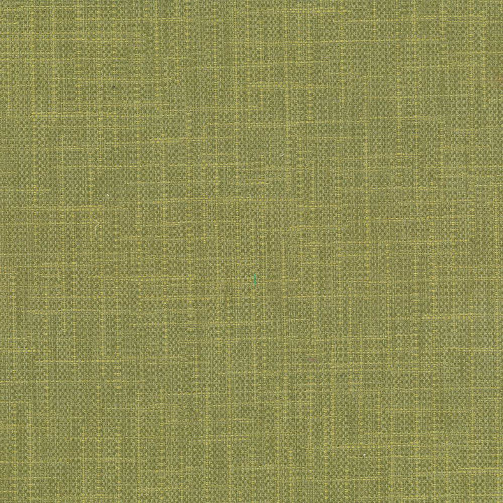 San Carlos Herb by Kasmir Fabric 5050 100% Polyester
 INDIA </p><p>Repeat: Horizontal: N/A and Vertical: N/A 54 - 55 - Fabric Carolina -
