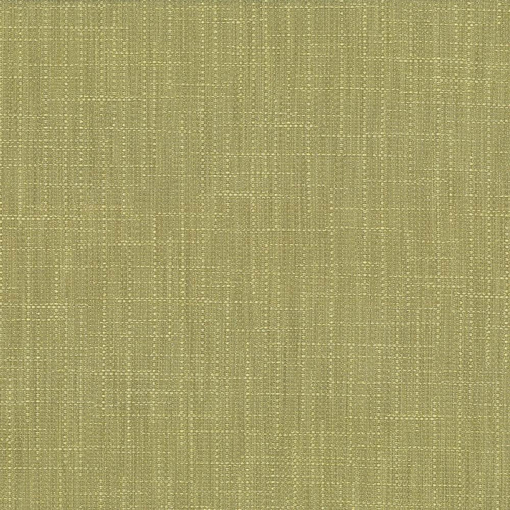 San Carlos Moss by Kasmir Fabric 5050 100% Polyester
 INDIA </p><p>Repeat: Horizontal: N/A and Vertical: N/A 54 - 55 - Fabric Carolina -