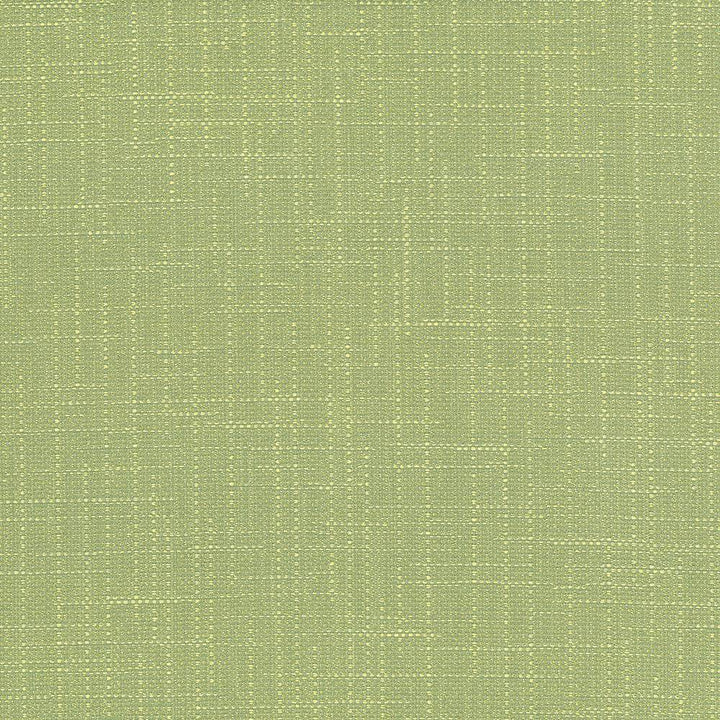 San Carlos Seaglass by Kasmir Fabric 5050 100% Polyester
 INDIA </p><p>Repeat: Horizontal: N/A and Vertical: N/A 54 - 55 - Fabric Carolina -