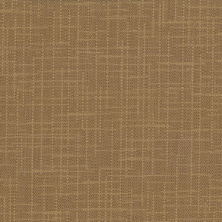 San Carlos Terrain by Kasmir Fabric 5050 100% Polyester
 INDIA </p><p>Repeat: Horizontal: N/A and Vertical: N/A 54 - 55 - Fabric Carolina -