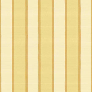 Sandino Stripe Champagne by Kasmir Fabric