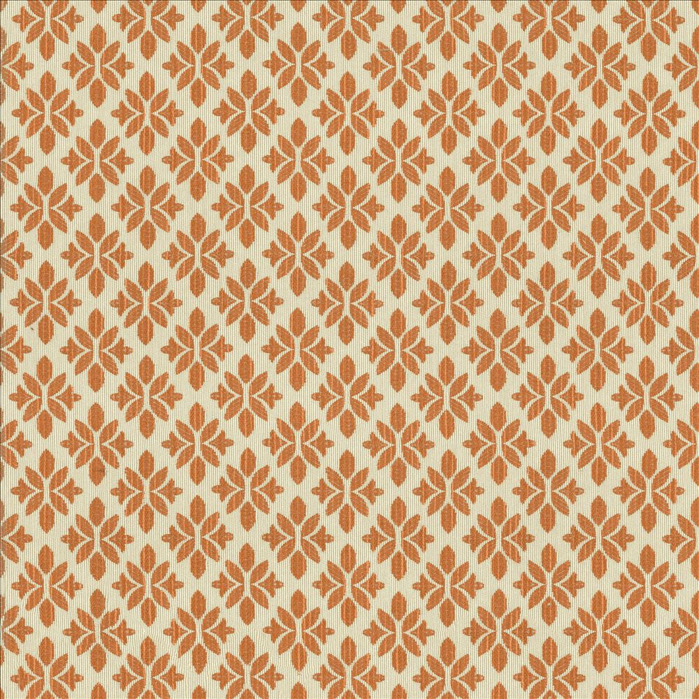 Sansa Apricot by Kasmir Fabric 5121 60% Rayon
40% Polyester
 USA 30,000 Wyzenbeek Double Rubs </p><p>Repeat: Horizontal: 2 2/8 inches and Vertical: 2 3/8 inches 54 - Fabric Carolina -