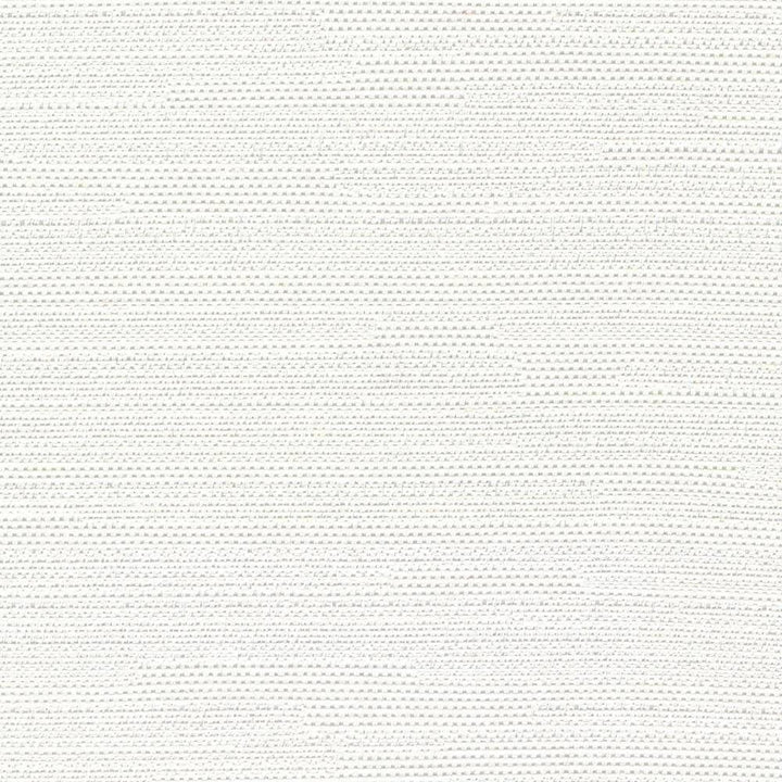 Santorini Alabaster by Kasmir Fabric 5013 INDIA 30,000 Wyzenbeek Double Rubs H: N/A, V:N/A 54 - 55 - Fabric Carolina - Kasmir