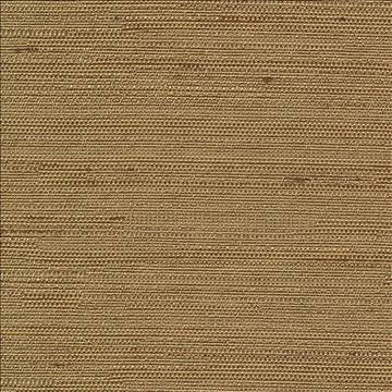 Santorini Almond by Kasmir Fabric 5013 100% Polyester INDIA 30,000 Wyzenbeek Double Rubs H: N/A, V: N/A 54 - 55 - Fabric Carolina - Kasmir