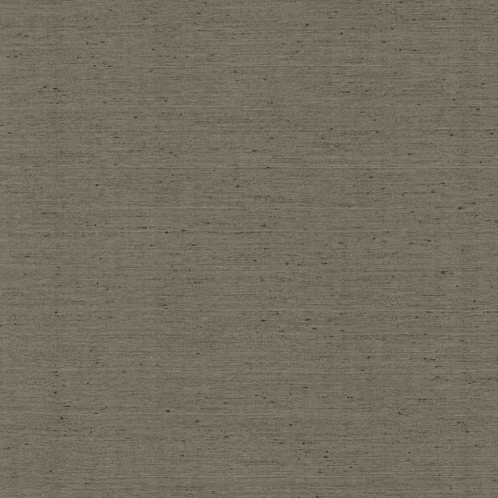 Santorini Black Pearl by Kasmir Fabric 5013 100% Polyester
 INDIA </p><p>Repeat: Horizontal: N/A and Vertical: N/A 54 - 55 - Fabric Carolina -
